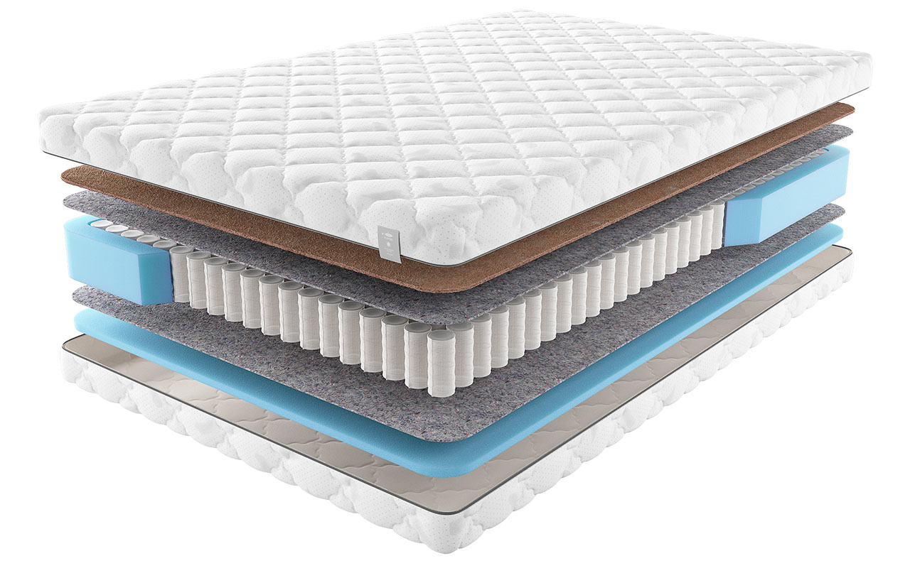 Flepers Rapa Delta Asta